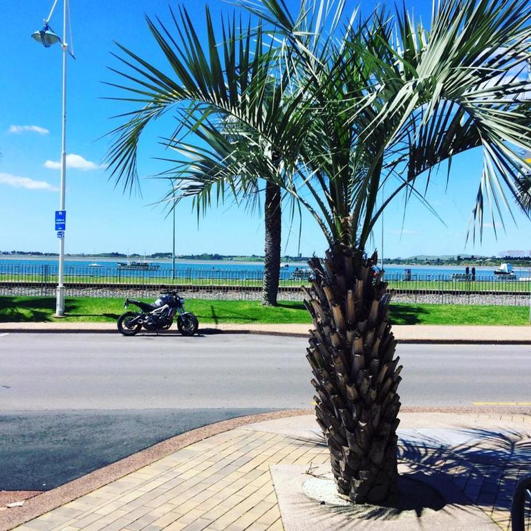 Harbourside City Backpackers Tauranga Exteriér fotografie